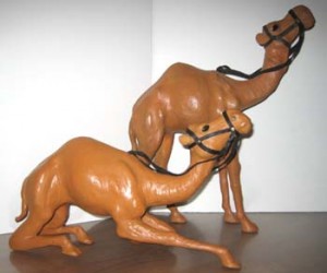 Leather camels