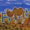 camel-mini-set-80-1369931863-jpg