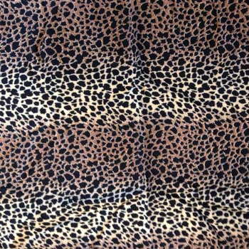 rayon-leopard-2-1443033097-jpg