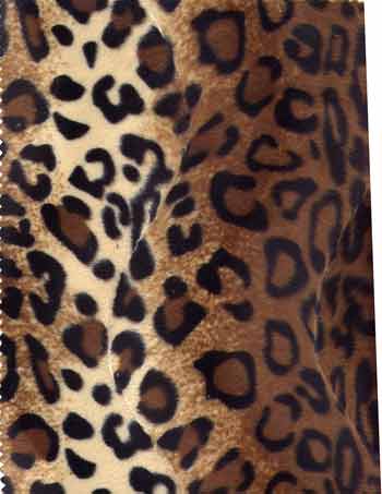 soft-fur-leopard-1335455685-jpg